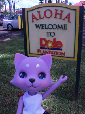 2009-01-24-2009-HAWAII-004.jpg - バスに揺られて最初に到着したのは、ドールプランテーション。