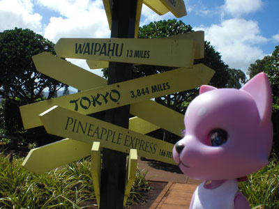 2009-01-24-2009-HAWAII-012.jpg - 東京へは、3844Milesです。
