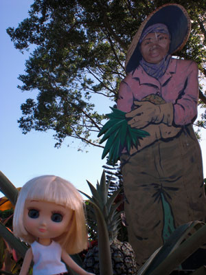 2009-01-24-2009-HAWAII-014.jpg - ミルちゃんはこちらで。