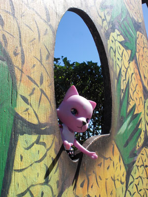 2009-01-24-2009-HAWAII-017.jpg - お約束のこちらでも撮影。