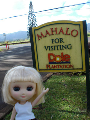 2009-01-24-2009-HAWAII-022.jpg - おみやげを買ったら、次はフリフリチキンを食べに行きます。