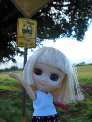 2009-01-24-2009-HAWAII-023.jpg - ひとつ手前のバス停で降りて、撮影タイム。
