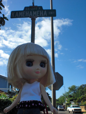 2009-01-24-2009-HAWAII-025.jpg - 日差しは強いけれど、風がとても気持ちがいいです。