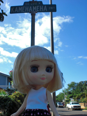 2009-01-24-2009-HAWAII-026.jpg - お腹がグーグーしてきたので、そろそろ出発しましょう。
