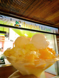 2009-01-24-2009-HAWAII-031.jpg - 今回の旅の写真はこれでおしまいです。来年はどんな旅になるのかな？今からとても楽しみです。
