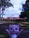 2009-01-24-2009-HAWAII-005