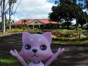 2009-01-24-2009-HAWAII-006