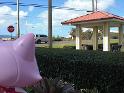 2009-01-24-2009-HAWAII-007