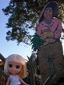 2009-01-24-2009-HAWAII-014