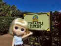 2009-01-24-2009-HAWAII-015