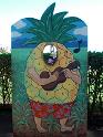 2009-01-24-2009-HAWAII-019