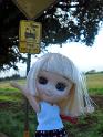 2009-01-24-2009-HAWAII-023