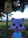 2009-01-24-2009-HAWAII-024