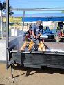 2009-01-24-2009-HAWAII-026-