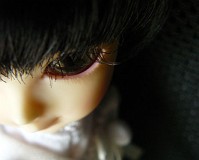 その瞳は、いつも真っ直ぐで