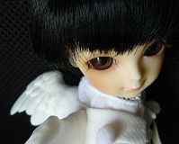 ひなちゃんは飛び立ちます。