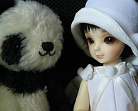 新しい仲間がやってきました。
