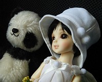 どんなお話をしているのかな？