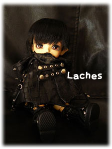 Y-raches.jpg - �Ϥ���Ƥ�Lati�ûҡ��饱����
