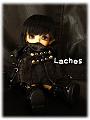 Y-raches